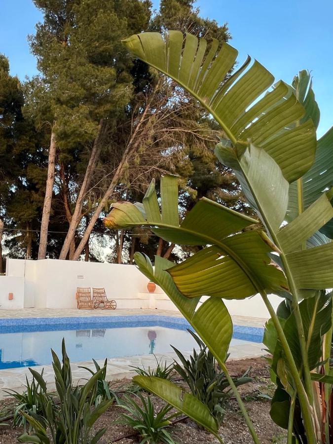 Boutique B&B Casa 381 - Adults Only Jávea Екстериор снимка